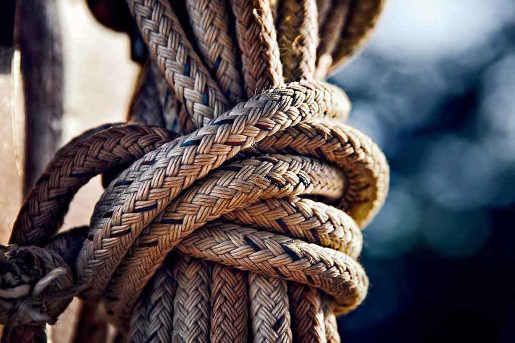 Le guide ultime des tisanes